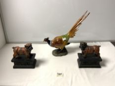A RESIN MODEL OF A PHEASANT AND A PAIR OF RESIN BULLDOG BOOKENDS