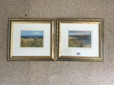 PAIR OF MODERN OILS OF - LOCH ARD AND FIFE - SCOTLAND SIGNED AND DATED G SPENCE 97, 14 X 19CMS