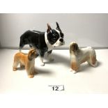 A CERAMIC FIGURE OF A FRENCH BULLDOG, 29 X 38CMS, A USSR FIGURE OF AN AFGHAN DOG, AND AN ENGLISH