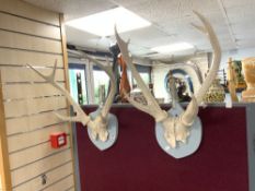 TWO VINTAGE PAINTED MOUNTED ANTLERS