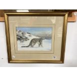 BRIAN ROUSE - WATERCOLOUR DRAWING - A STUDY OF A SNOW LEOPARD - SIGNED 26 X 37CMS