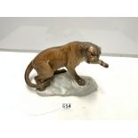 A BESWICK MODEL OF A PANTHER, 31 X 44CMS