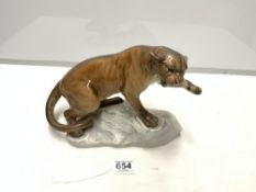A BESWICK MODEL OF A PANTHER, 31 X 44CMS