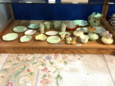 TWENTY-SIX PIECES OF CARLTON WARE - INCLUDES THREE CRUETS, BISCUIT BARRELL, POTS, PLATES AND