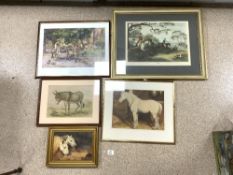 FIVE HORSE RELATED PICTURES, INCLUDES MARYALLE L STUBBS OIL ON CANVAS