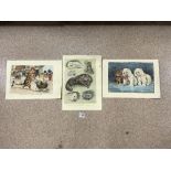 THREE UNFRAMED LOUIS WAIN PRINTS