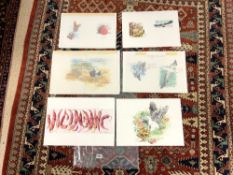 SIX UNFRAMED WATERCOLOUR SKETCHES OF BIRDS OSTRICH, EAGLES ETC AND UNFRAMED WATERCOLOUR SKETCH OF
