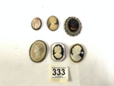 SIX VARIOUS CAMEO BROOCHES