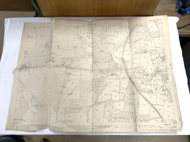 QUANTITY OF 19TH CENTURY ORDINANCE SURVEY MAPS, LEWES, ST IVES BAY, SOUTHAMPTON AND MORE - Image 15 of 16