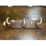 A WOODEN AND HOG TASK WALL MOUNTED COAT RACK