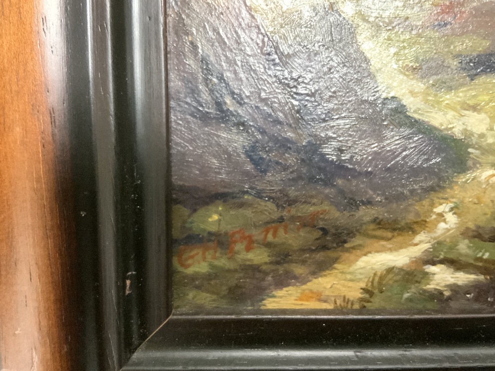 TWO SMALL FRAMED OILS A SEYMOUR 1891 AND E H PETTIT LARGEST 31 X 25CM - Image 7 of 8