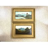 A PAIR OF LATE VICTORIAN OILS ON BOARD OF LAKE SCENES IN GILT FRAMES 48 X 21 CMS