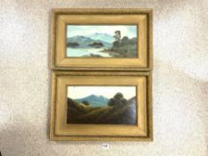 A PAIR OF LATE VICTORIAN OILS ON BOARD OF LAKE SCENES IN GILT FRAMES 48 X 21 CMS