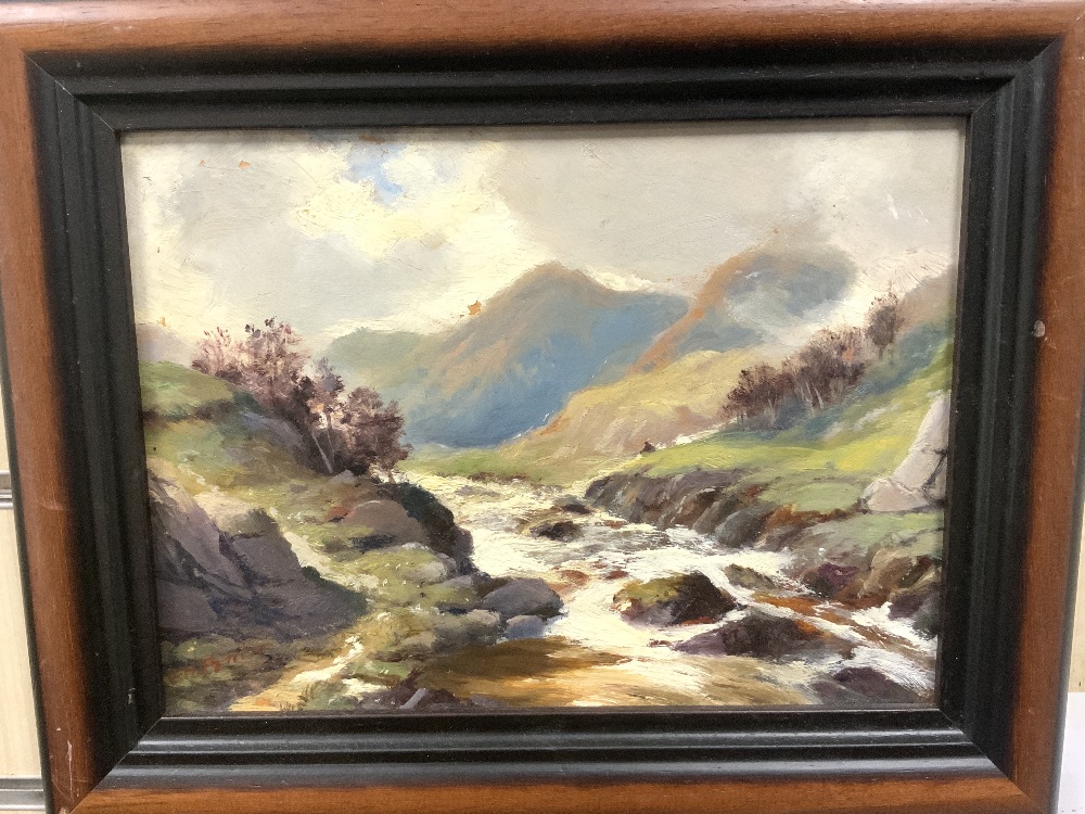 TWO SMALL FRAMED OILS A SEYMOUR 1891 AND E H PETTIT LARGEST 31 X 25CM - Image 6 of 8