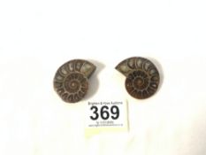 TWO STONE SNAIL-SHAPED FOSSILS