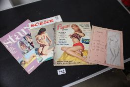 Quantity of vintage adult magazines