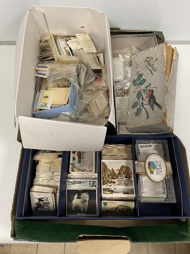 MIXED BOX OF LOOSE CIGARETTE CARDS - Image 3 of 12