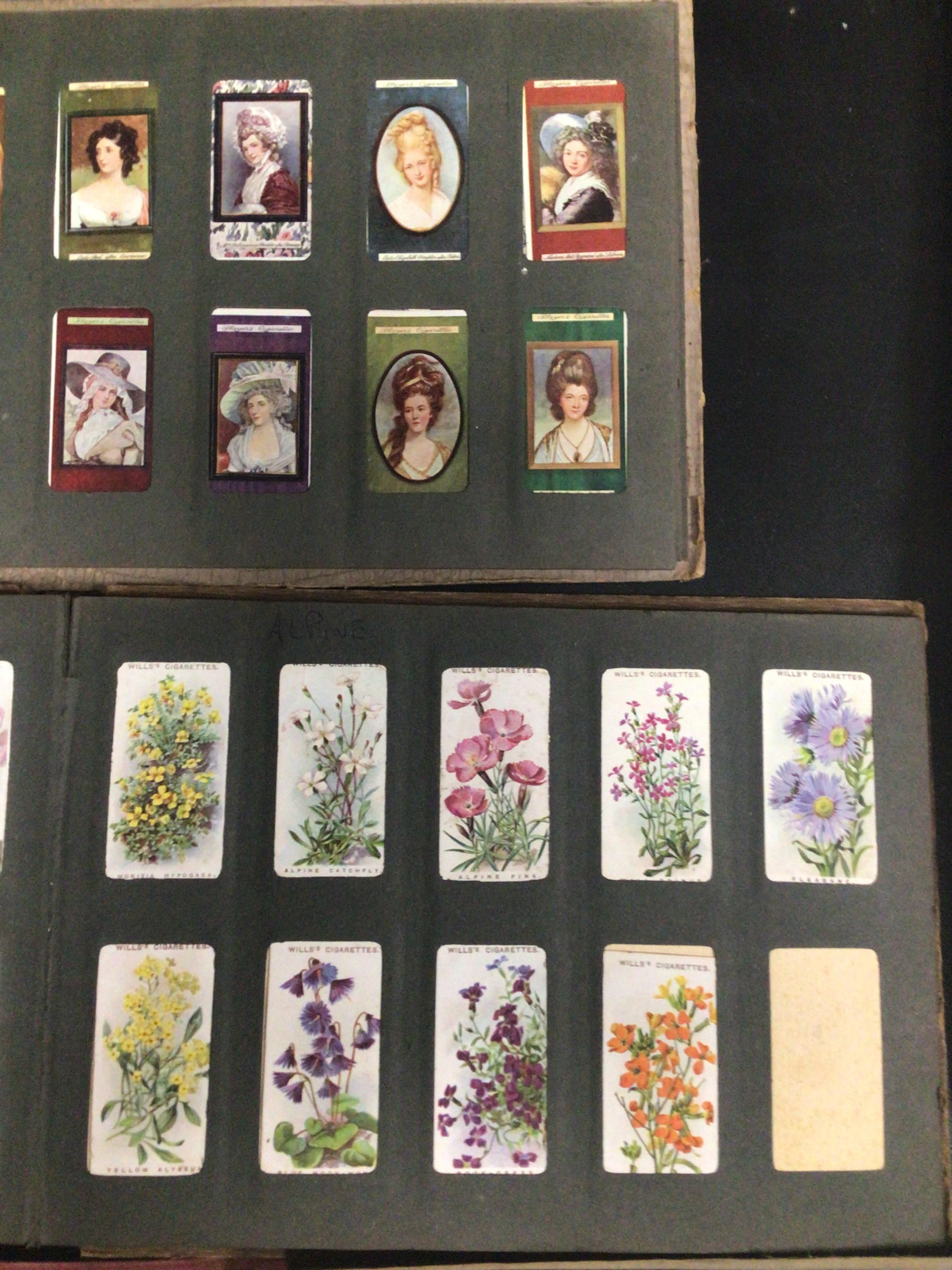 QUANTITY OF CIGARETTE ALBUMS, WILLS, PLAYERS, MOBIL AND MORE INCLUDES CRICKETERS 1930, ROSES, - Image 6 of 7