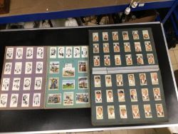 Lifetime Collection of Cigarette and Tea Cards Over 80 years worth of Collecting