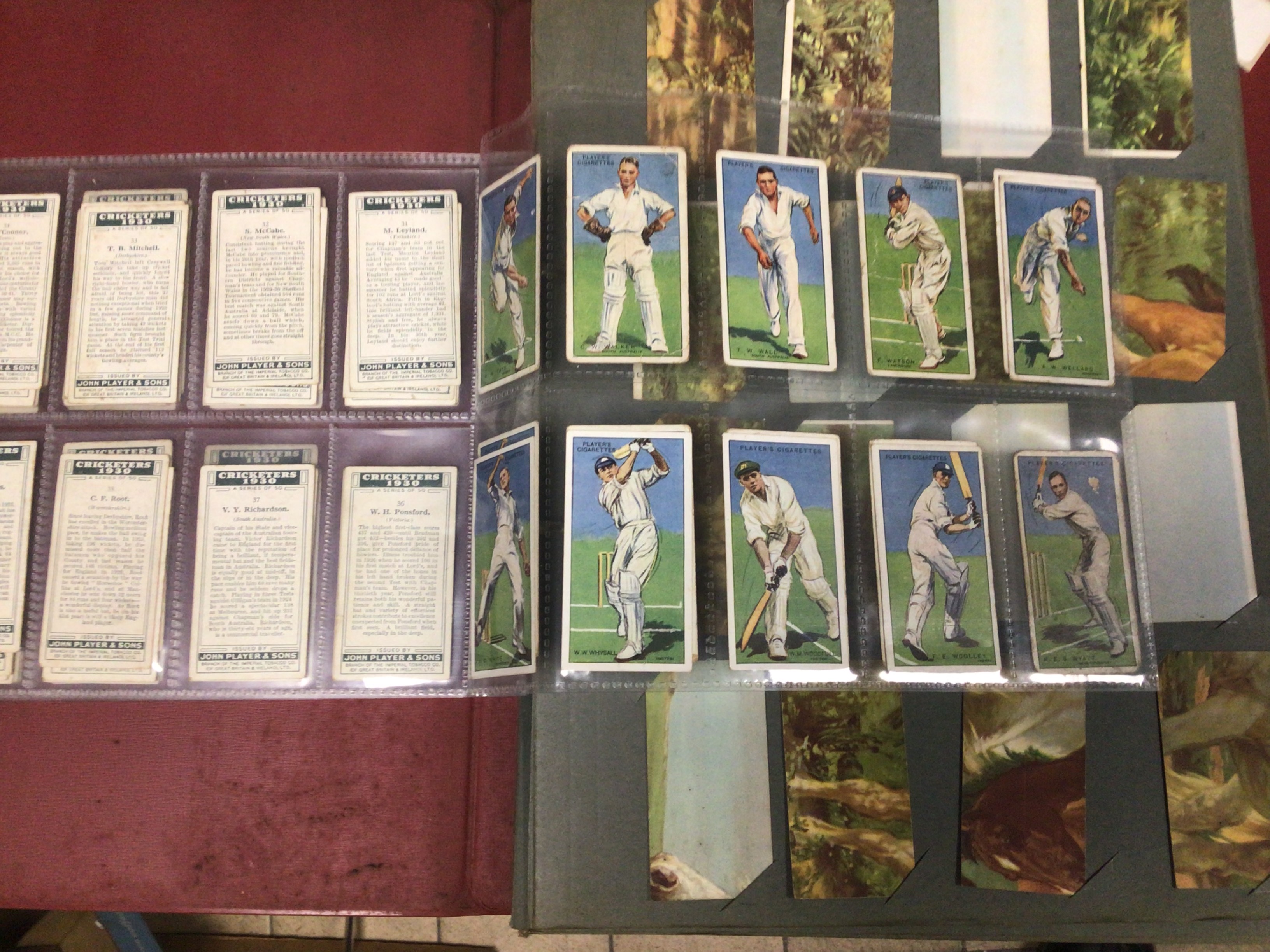 QUANTITY OF CIGARETTE ALBUMS, WILLS, PLAYERS, MOBIL AND MORE INCLUDES CRICKETERS 1930, ROSES, - Image 3 of 7