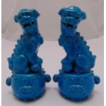 A pair of ceramic of Dogs of Foe, blue ground seated on raised circular bases, 23cm (h)