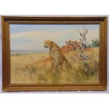 Donald Grant framed oil on canvas titled Cheetah Lookout, signed bottom right, 61 x 91cm, ARR