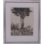 Stan Washburn framed and glazed limited edition monochromatic engraving titled Adam Naming the