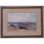 Walter E. Allcott framed and glazed watercolour of a Surrey landscape, signed bottom left, label