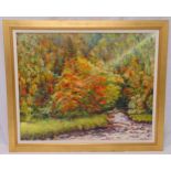 Jean Rose framed oil on canvas of trees and a stream, signed bottom right, 60.5 x 76.5cm
