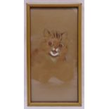 Louis Wain framed and glazed pen and ink drawing of a cat, signed bottom left, 24.5 x 12cm