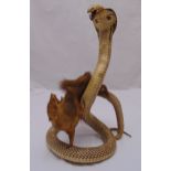 An early 20th century taxidermy study of a King cobra repelling a mongoose, 54 cm (h)