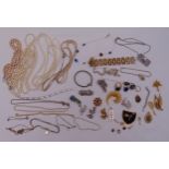 A quantity of costume and silver jewellery to include brooches, necklaces, bracelets and earrings