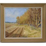 Bert Wright framed oil on canvas of a field and trees, label to verso, 49.5 x 60cm