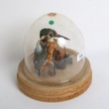 TAXIDERMY - a kingfisher, on assembled branch base with glass dome, overall height 20cm