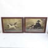A pair of monochrome pictures, horse studies, oak-framed, overall 62cm x 82cm