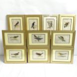 A set of 10 contemporary hand coloured ornithological prints, all framed, overall 35cm x 26cm (10)