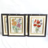 A set of 4 hand coloured botanical prints, framed