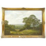 Late 20th century oil on canvas, meadow landscape, indistinctly signed, framed, overall 72cm x 104cm