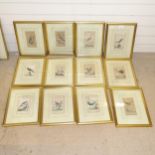 A set of 17 hand coloured prints, ornithological studies, published 1787 by Joseph Johnson, all