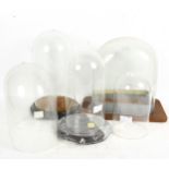 5 glass domes, largest height 28cm