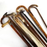 Various walking sticks, including boar tusk example with silver collar (10)