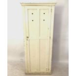 A 1920s painted pine larder cupboard, with single panelled door, W76cm, H183cm, D38cm