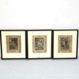 A set of 3 'The Faerie Queene' etchings, framed, overall 40cm x 34cm (3)