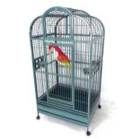 A large dome-top metal parrot cage, W91cm, H177cm, D72cm