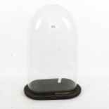 A Victorian glass dome on plinth, 44cm