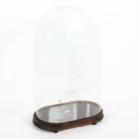 A glass dome on ebonised stand, overall height 52cm, dome internal height 48cm, base 19cm x 31.5cm