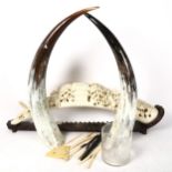 Bone implements, resin bridge, and a pair of cow horns