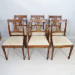 A set of 6 reproduction mahogany Regency style dining chairs, with drop-in seats