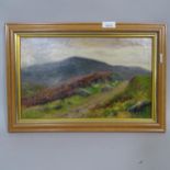 Daniel Sherrin, oil on canvas, grazing sheep, 33cm x 47cm overall, framed