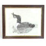 Canadian School colour lithograph, duck, 1990, indistinctly signed, no. 12/50, overall frame